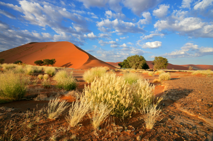 Namibia desert
