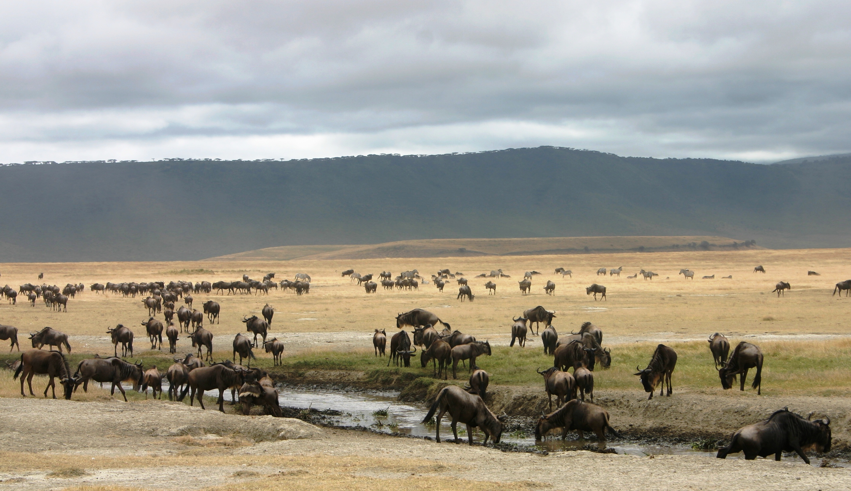 Ngorongoro national park