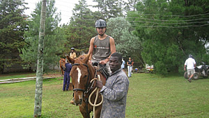 gdon House Horse Ridding