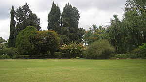 gdon House Environment