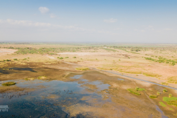Aerial Shot of Elephant Marsh