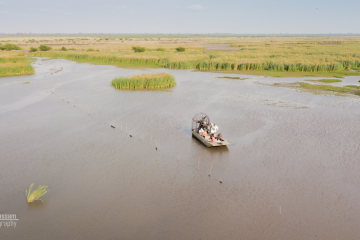 Aerial Shot of Elephant Marsh