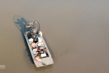 MV Elephant Marsh Master