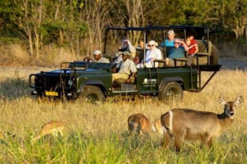 Safari, Liwonde National Park