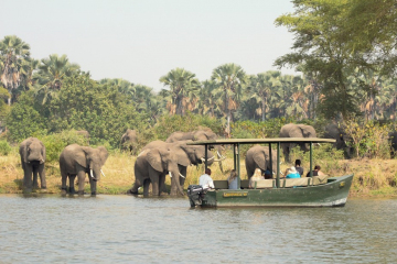 Boat Safari, Liwonde National Park