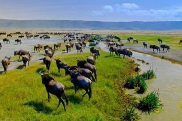 ngorongoro1